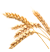 zernotip