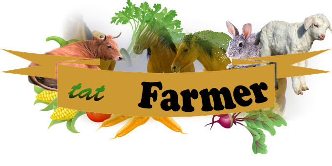 Тат-Фермер